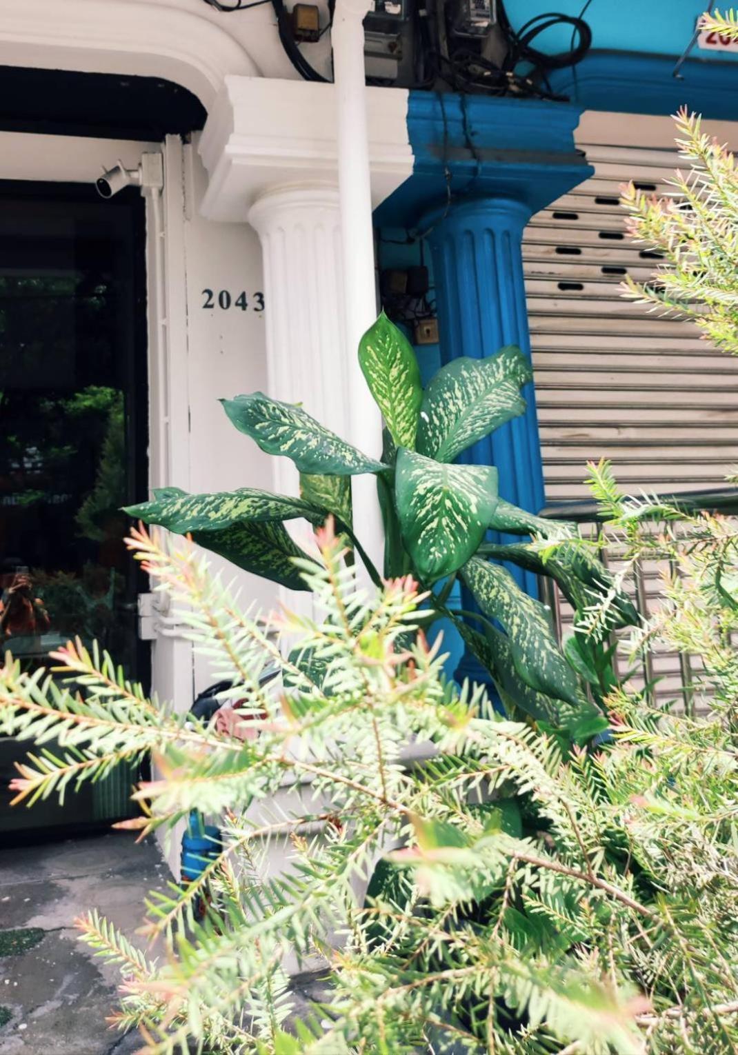 Mstay Bangkok Esterno foto